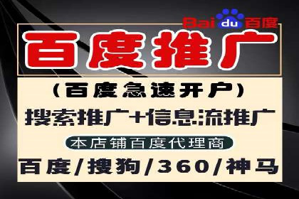 竞价排名案例：跨平台推广效果分析